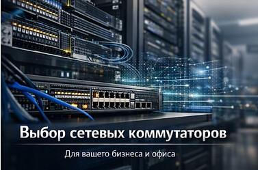 Сетевые коммутаторы: организация сетевой инфраструктуры для бизнеса