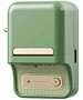 Термопринтер Niimbot B21 Pro Pine Green (1747186)