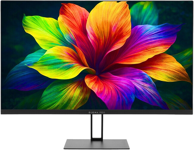 Монитор Digma Pro Motion L черный (TM27SB02)