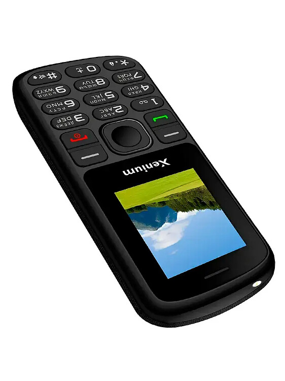 Мобильный телефон Xenium X160 черный (CTX160BK/00)