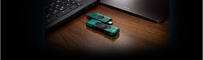 USB Flash-накопитель Kingston DataTraveler Duo 256GB (DTDEG2/256GB)