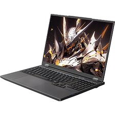 Ноутбук Maibenben X16F Grey (X16F-R98957T0GGRLG4E10)