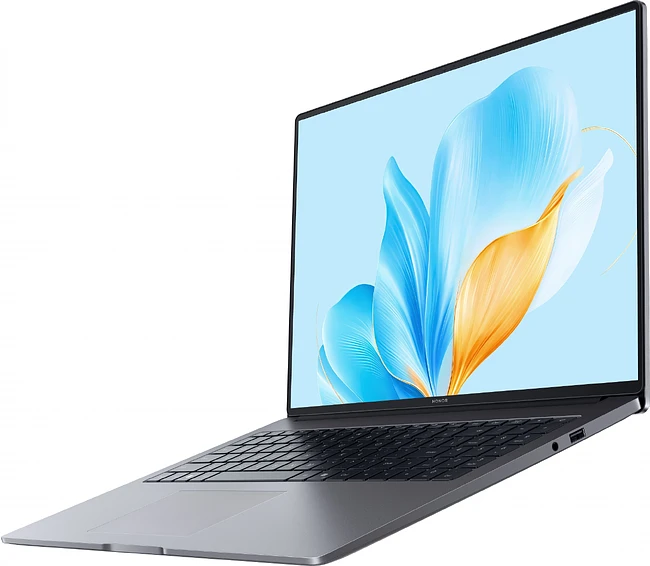 Ноутбук Honor MagicBook X16 2025 BRG-565 Space Gray (5301ALWS)