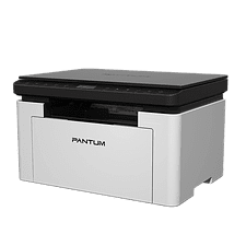 МФУ Pantum BM1800W черный/белый