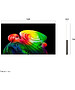 Телевизор LG OLED55B6RLA