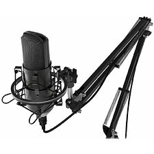 Микрофон Ritmix RDM-169