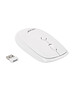 Мышь Acer OMR138 белый (ZL.MCEEE.01L)