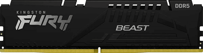 Оперативная память Kingston Fury Beast 32GB DDR5 (KF556C36BBE2-32)