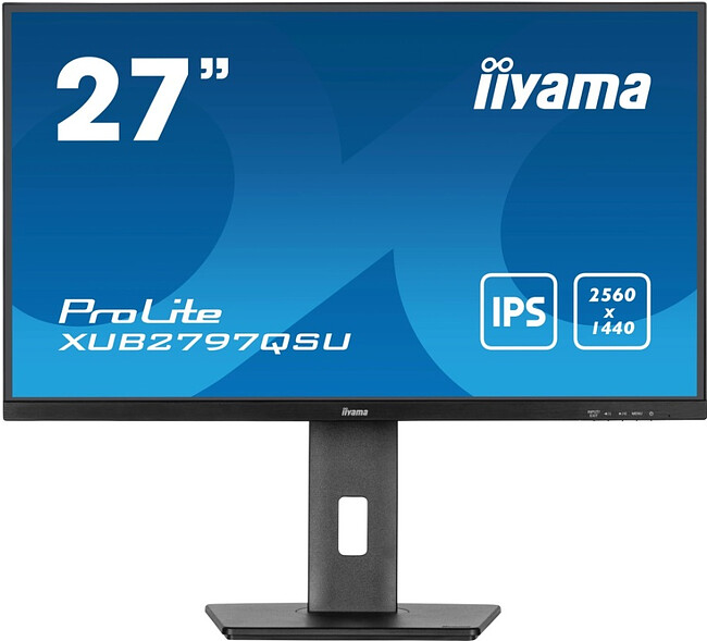 Монитор Iiyama ProLite XUB2797QSU-B2 черный