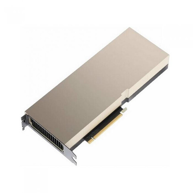 Видеокарта Nvidia Tesla A100 80GB HBM2 (900-21001-0020-000)