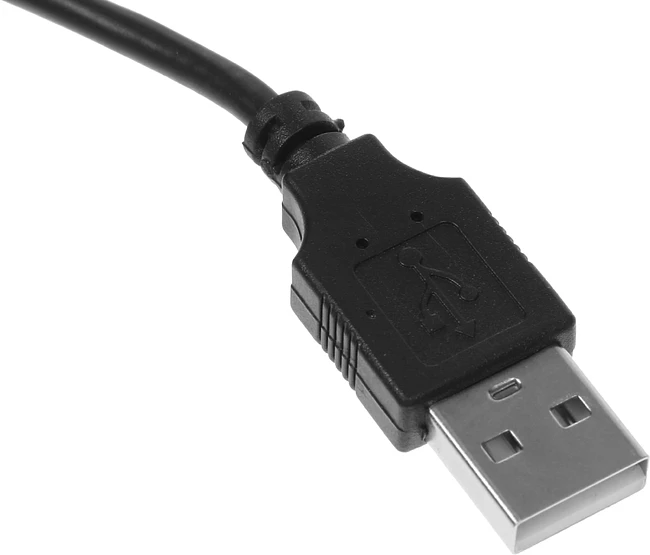 Веб-камера Ritmix RVC-250