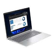 Ноутбук HP ProBook 460 G11 Pike Silver (A38BHET)