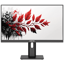 МониторRDW Computers RDW2701K (2701K/F08B3120V2A1)