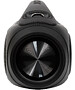 Портативная колонка Digma D-PS1531 черный (SP1531B)