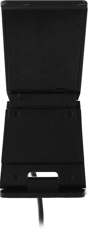 Веб-камера Ritmix RVC-250