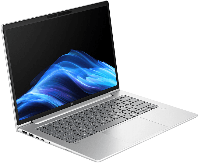 Ноутбук HP ProBook 4 G1i Silver (D0VG5ET)