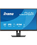 Монитор Iiyama ProLite XUB3297QSNP-B1 черный