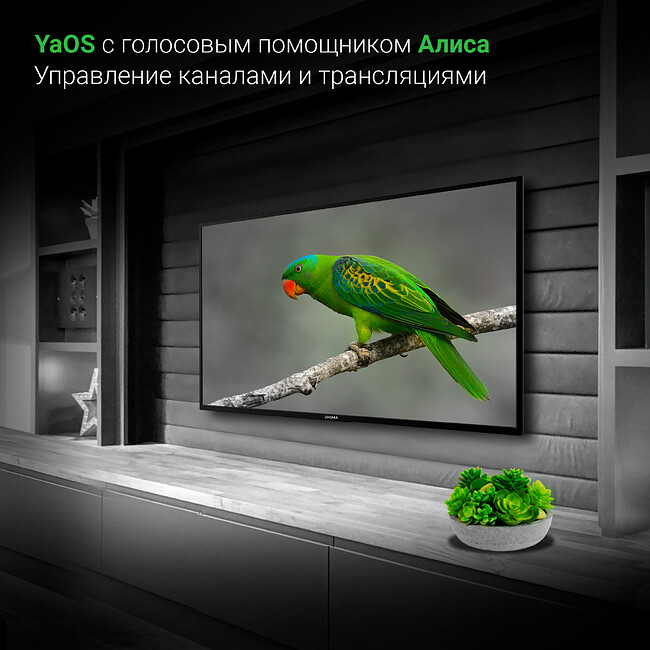 Телевизор Digma DM-LED43UBB31 черный