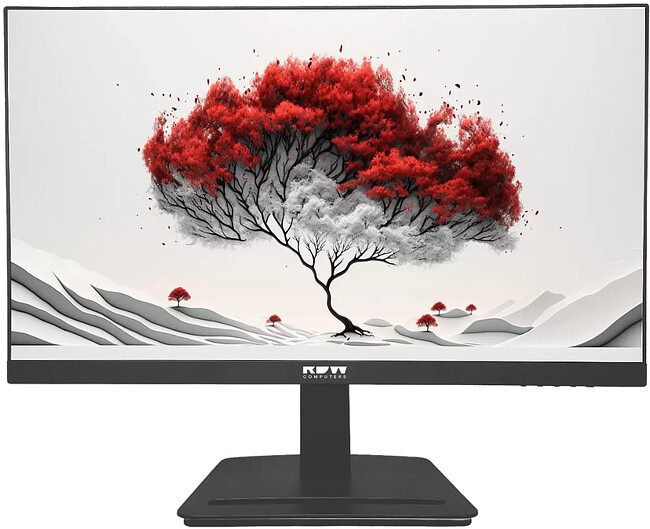 Монитор RDW Computers RDW2401K черный (2401K/F08B3100V2A1A) Монитор RDW Computers RDW2401K черный (2401K/F08B3100V2A1A)