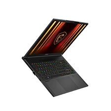 Ноутбук MSI Stealth A16 AI+ A3HWHG-239XRU Black (9S7-15FL35-239)
