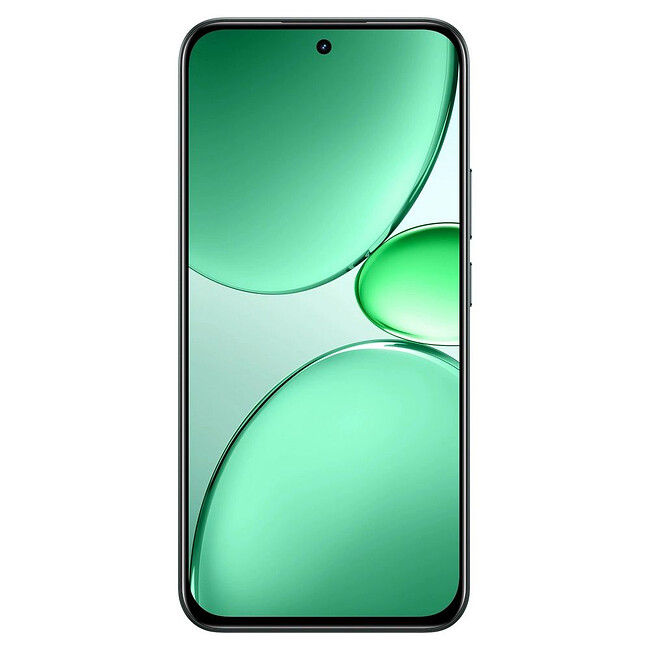 Смартфон Realme C85 Pro RMX5555 8/256Gb темно-зеленый