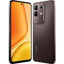 Смартфон Vivo Y29 8GB/256GB Brown (V2434)