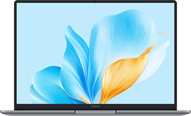 Ноутбук Honor MagicBook X14 Plus 2025 FRB-X Space Gray (5301ALWC)