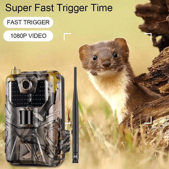 Фотоловушка Suntek HC-900LTE