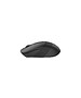 Мышь A4Tech Fstyler FB10CS Stone Black