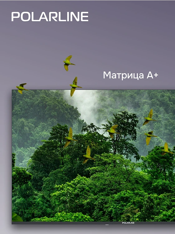 Телевизор PolarLine 65PQ71STC-SM черный/серебристый