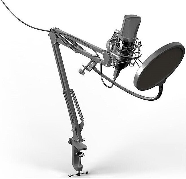 Микрофон Ritmix RDM-169