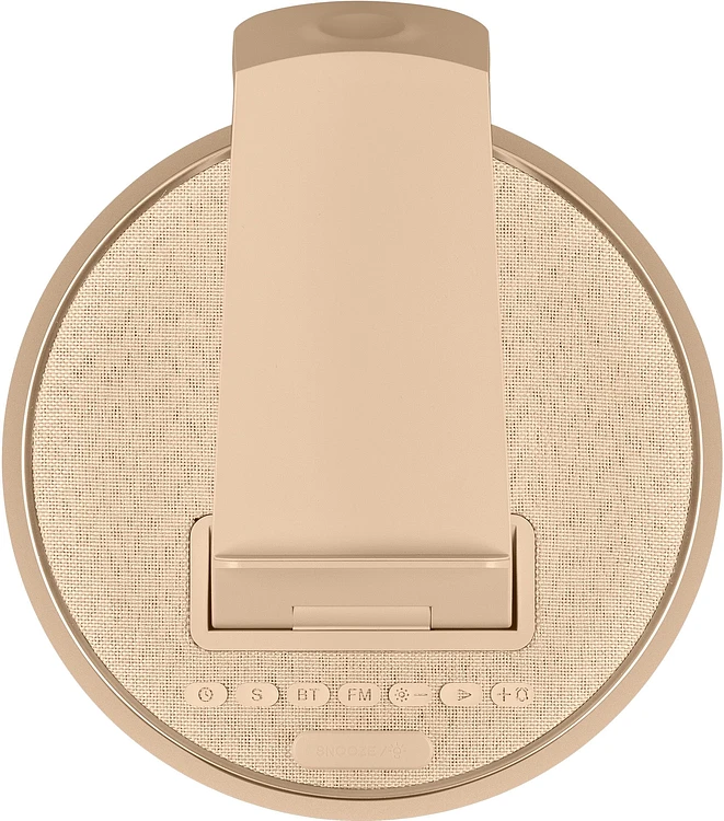 Портативная колонка BBK BTA1110 GD золотистый