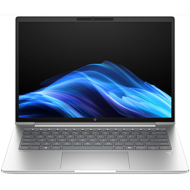 Ноутбук HP ProBook 4 G1i Silver (D0VG1ET)