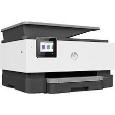 МФУ HP OfficeJet Pro 9013 (1KR49B)