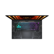 Ноутбук MSI MS-17U3 Cyborg 17 B13WEKG-216XRU Translucent Black (9S7-17U332-216)