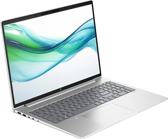 Ноутбук HP ProBook 460 G11 Pike Silver (CT4F7PC)
