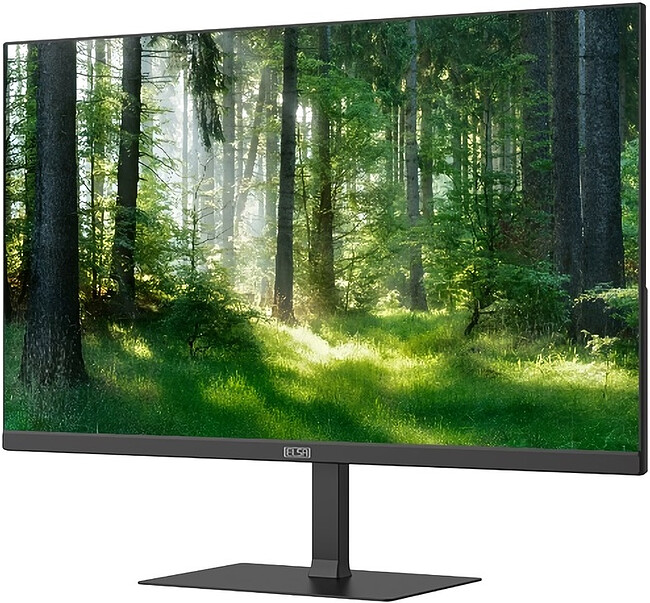 Монитор Elsa EA251Q