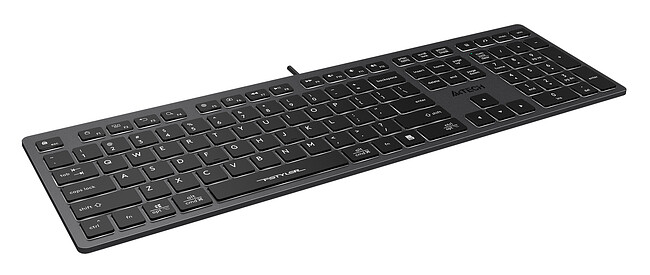 Клавиатура A4Tech Fstyler серый/белый (FX60)