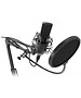 Микрофон Ritmix RDM-169