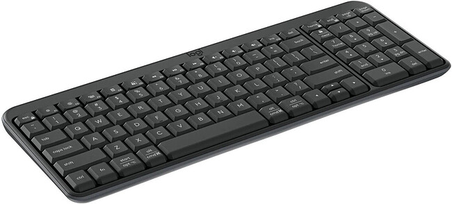 Клавиатура Logitech K250 графитовый (920-013452)