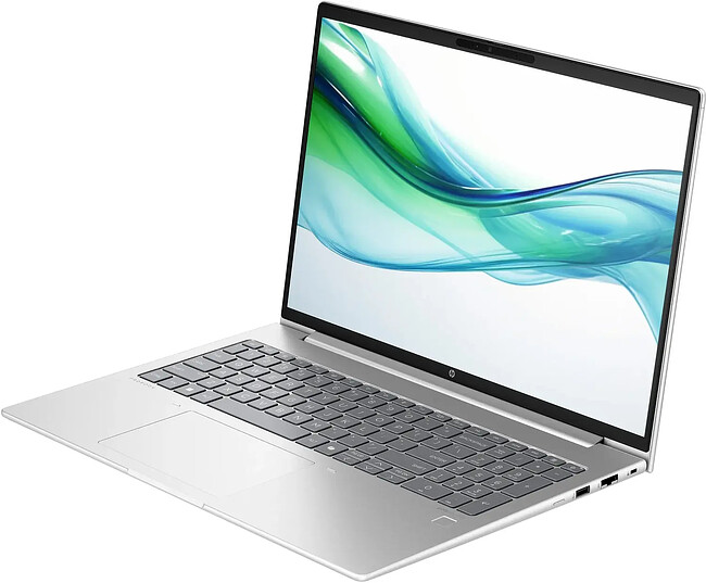 Ноутбук HP ProBook 460 G11 Pike Silver (CT4F7PC)