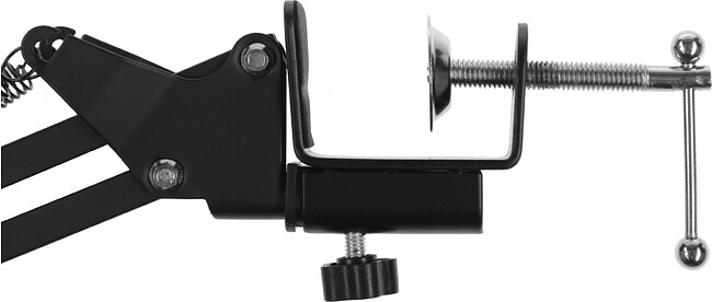 Микрофон Ritmix RDM-169