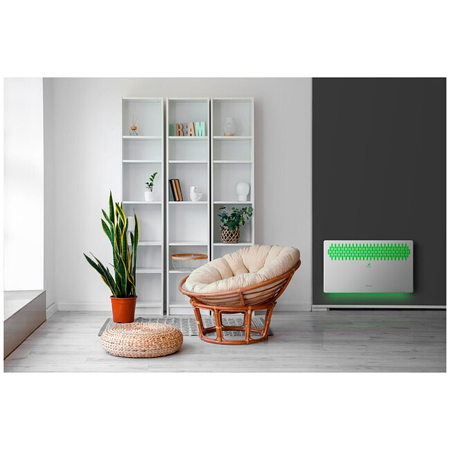 Конвектор Royal Clima REC-FRWG1000M