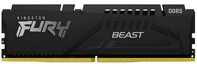 Оперативная память Kingston FURY Beast Black Expo 32GB DDR5 (KF552C40BB2-32)