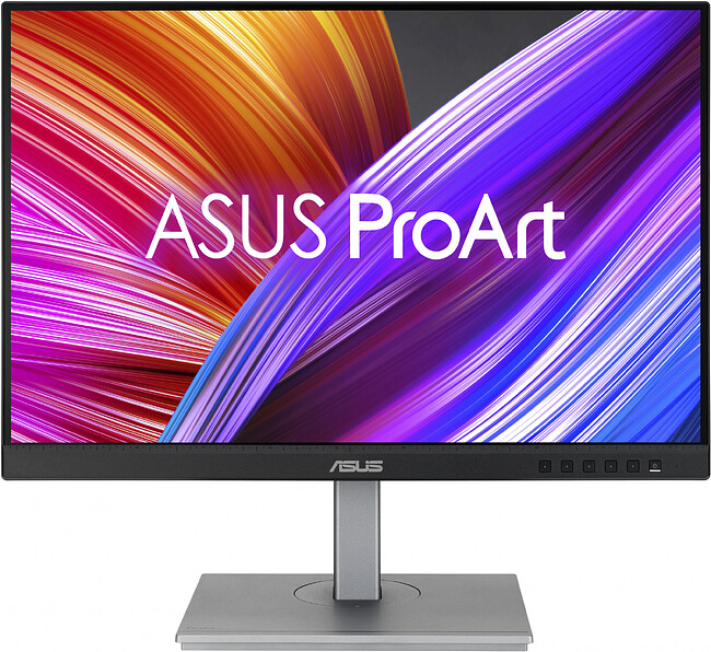 Монитор Asus ProArt PA248CNV черный (90LM05K1-B03370)