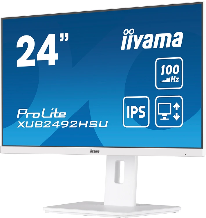 Монитор Iiyama ProLite XUB2492HSU-W6 белый