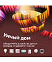 Умная колонка Sber Boom Mini красный (SBDV-00095)