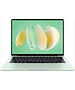 Ноутбук Huawei MateBook 14 FLMH-X Green (53014QLH)