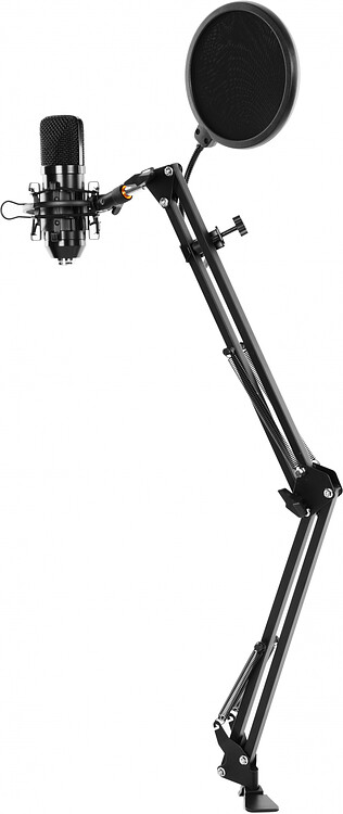 Микрофон Ritmix RDM-169