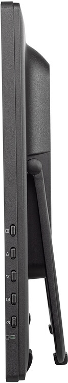 Монитор Iiyama ProLite T2455MSC-B1 черный